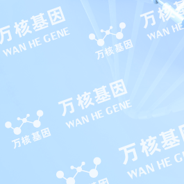 加盟萬核優選